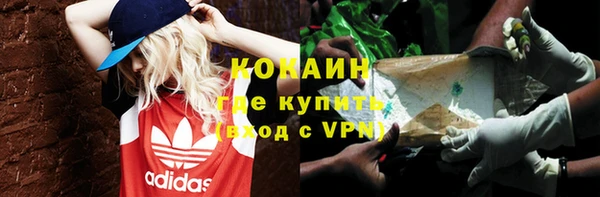 крисы Касимов