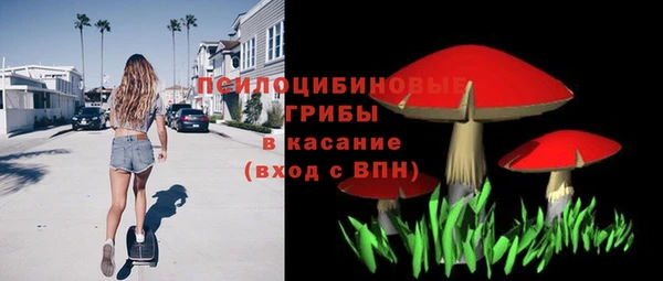 тгк Карпинск