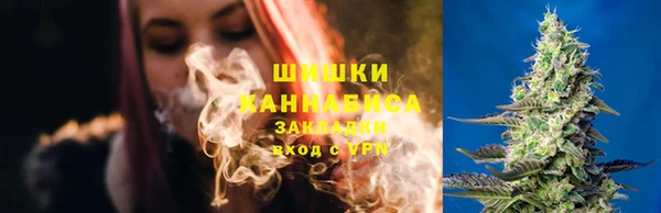 тгк Карпинск