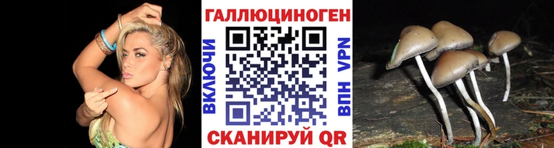 Купить  Ковдор  Псилоцибиновые грибы мицелий 